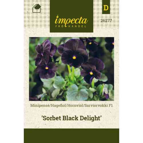 Sarviorvokki F1 'Sorbet Black Delight' Sarviorvokki F1 'Sorbet Black Delight'