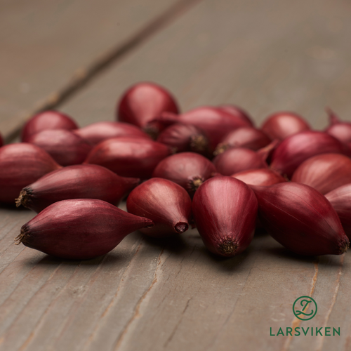 Rödlök Red Baron 500 g Rödlök Red Baron 500 g