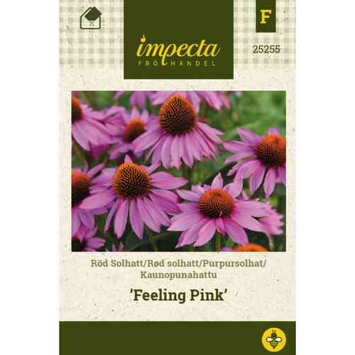 Röd Solhatt 'Feeling Pink' Röd Solhatt 'Feeling Pink'