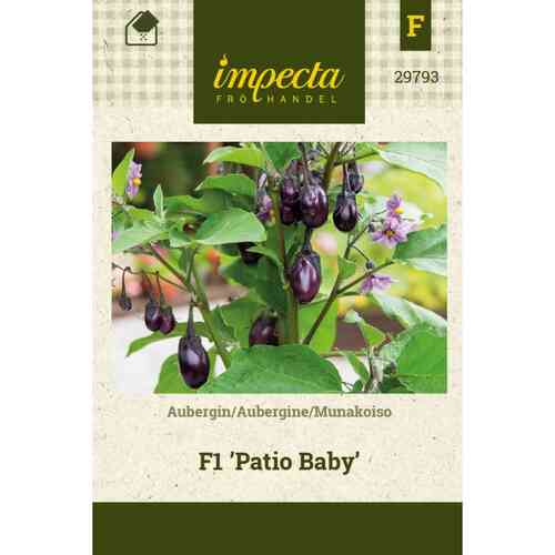 Munakoiso F1 'Patio Baby' Munakoiso F1 'Patio Baby'