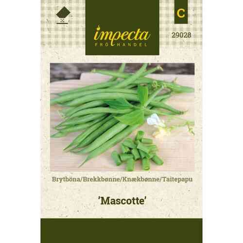 Brytböna 'Mascotte' Brytböna 'Mascotte'