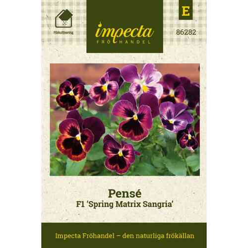 Pensé F1 'Spring Matrix Sangria' Pensé F1 'Spring Matrix Sangria'