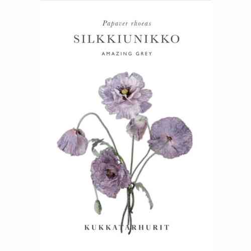 Sidenvallmo 'Amazing Grey' Sidenvallmo 'Amazing Grey'