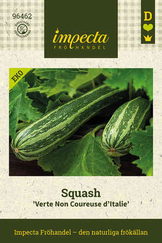 LUOMU Kesäkurpitsa 'Verte Non Coureuse d'Italie' LUOMU Kesäkurpitsa 'Verte Non Coureuse d'Italie'