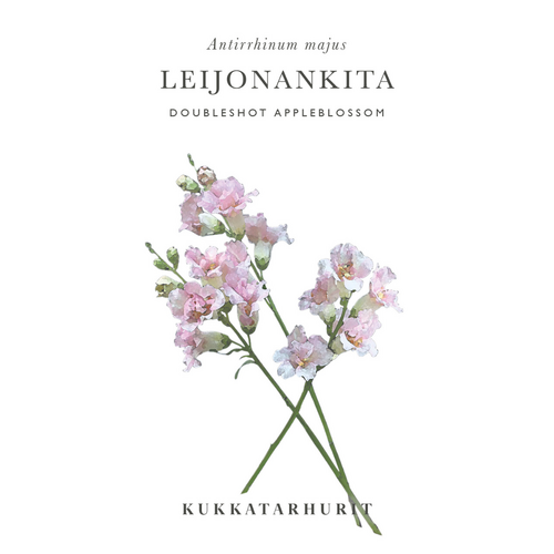 Lejongap 'Doubleshot Appleblossom' Lejongap 'Doubleshot Appleblossom'