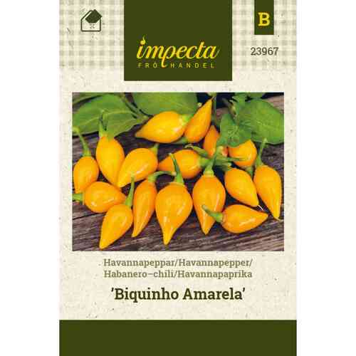 Havannapaprika 'Biquinho Amarela' Havannapaprika 'Biquinho Amarela'
