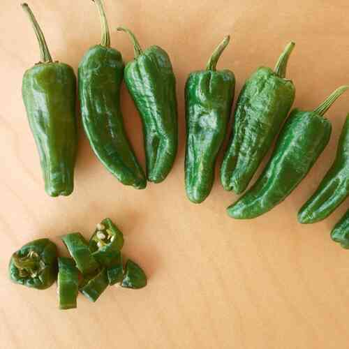 Chilipaprika 'Poblano Ancho' Chilipaprika 'Poblano Ancho'