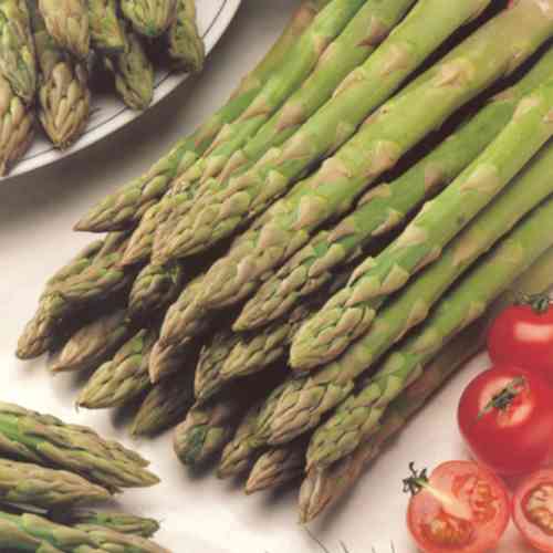 Parsan juurakot F1 'Gijnlim' 10 kpl Parsan juurakot F1 'Gijnlim' 10 kpl