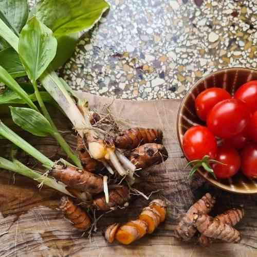 Kurkuman juurakot 6 kpl Kurkuman juurakot 6 kpl