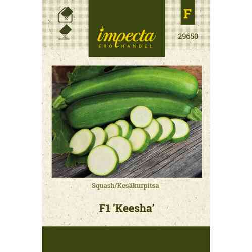 Kesäkurpitsa F1 'Keesha' Kesäkurpitsa F1 'Keesha'