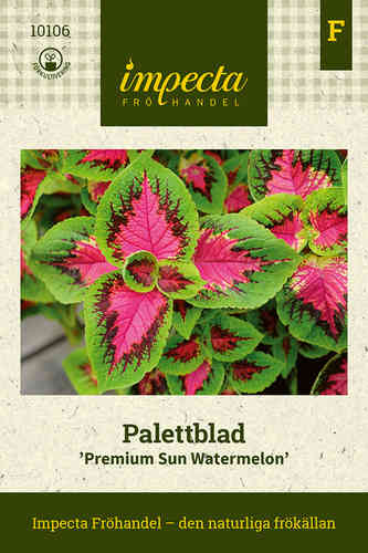 Palettblad 'Premium Sun Watermelon' Palettblad 'Premium Sun Watermelon'