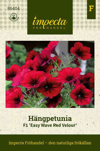 Hängpetunia F1 'Easy Wave Red Velour' Hängpetunia F1 'Easy Wave Red Velour'