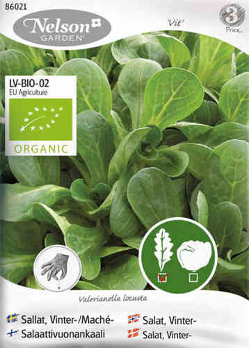 Vinterallat, Machésallat 'Vit' Vinterallat, Machésallat 'Vit'