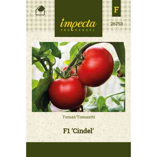 Tomaatti F1 'Cindel' Tomaatti F1 'Cindel'