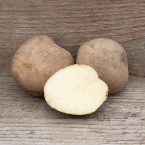 Acoustic sättpotatis 1 kg Acoustic sättpotatis 1 kg