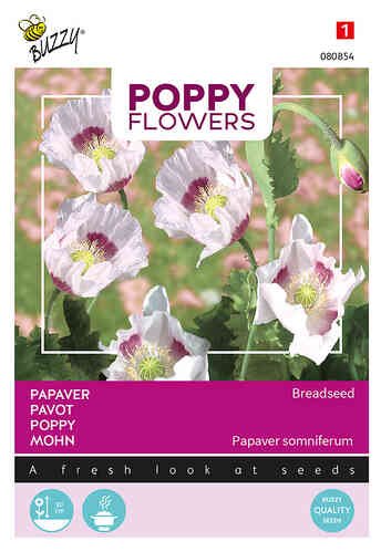 Buzzy® Poppy Flowers opievallmo Breadseed Buzzy® Poppy Flowers opievallmo Breadseed