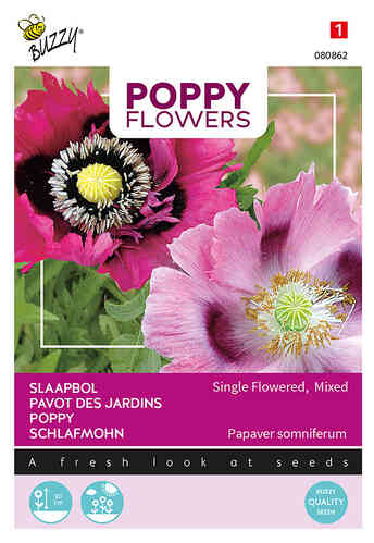Buzzy® Poppy Flowers opievallmo enkel blandning Buzzy® Poppy Flowers opievallmo enkel blandning