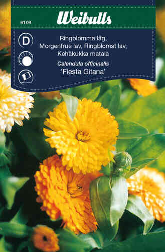 Kehäkukka 'Fiesta Gitana' Kehäkukka 'Fiesta Gitana'