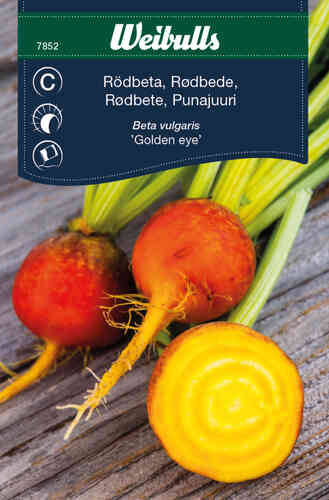 Gulbeta 'Golden Eye' Gulbeta 'Golden Eye'