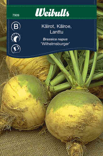 Kålrot 'Wilhelmsburger' Kålrot 'Wilhelmsburger'