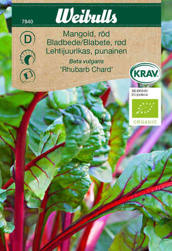 EKO Mangold 'Rhubarb Chard' EKO Mangold 'Rhubarb Chard'