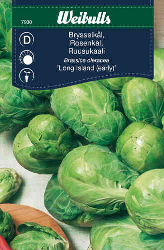 Brysselkål 'Long Island' Brysselkål 'Long Island'