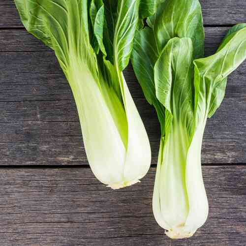 Pak choi Pak choi