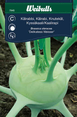 Kålrabbi 'Delikatess Witte' Kålrabbi 'Delikatess Witte'