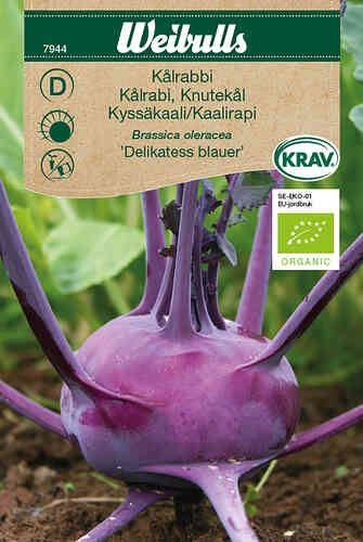 EKO Kålrabbi 'Delikatess blauer' EKO Kålrabbi 'Delikatess blauer'