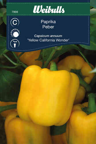 Paprika 'Yellow California Wonder' Paprika 'Yellow California Wonder'