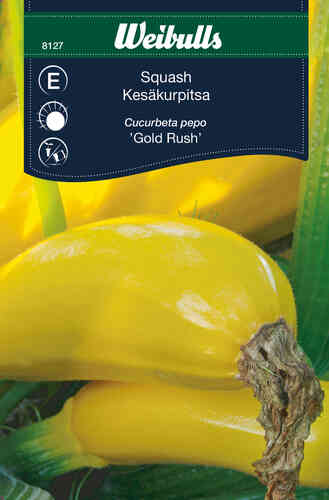 Squash 'Gold Rush' Squash 'Gold Rush'