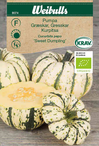 EKO Pumpa 'Sweet Dumpling' EKO Pumpa 'Sweet Dumpling'