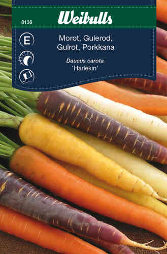 Morot 'Harlekin mix' Morot 'Harlekin mix'