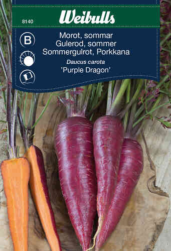 Sommarmorot 'Purple Dragon' Sommarmorot 'Purple Dragon'