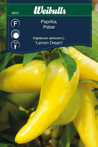 Paprika 'Lemon Dream' Paprika 'Lemon Dream'
