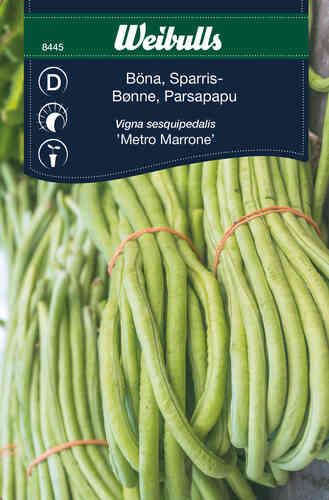 Parsapapu 'Metro Marrone' Parsapapu 'Metro Marrone'