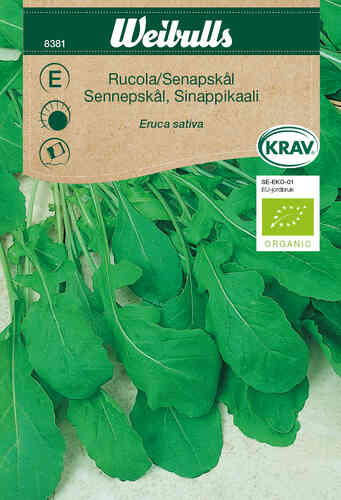 EKO Rucola, senapskål EKO Rucola, senapskål