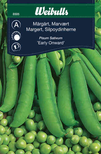 Märgärt 'Early Onward' Märgärt 'Early Onward'