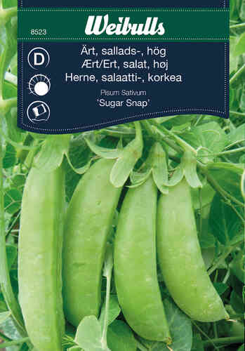 Salladsärt 'Sugar Snap' Salladsärt 'Sugar Snap'