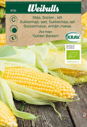 EKO Sockermajs 'Golden Bantam' EKO Sockermajs 'Golden Bantam'