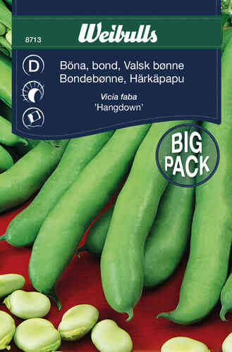 Bondböna 'Hangdown' Big Pack Bondböna 'Hangdown' Big Pack