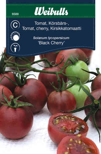 Körsbärstomat 'Black Cherry' Körsbärstomat 'Black Cherry'