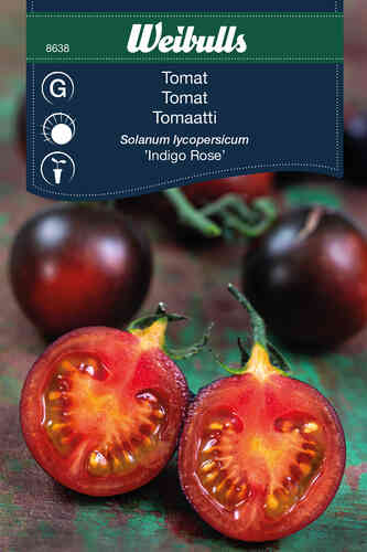 Tomat 'Indigo Rose' Tomat 'Indigo Rose'