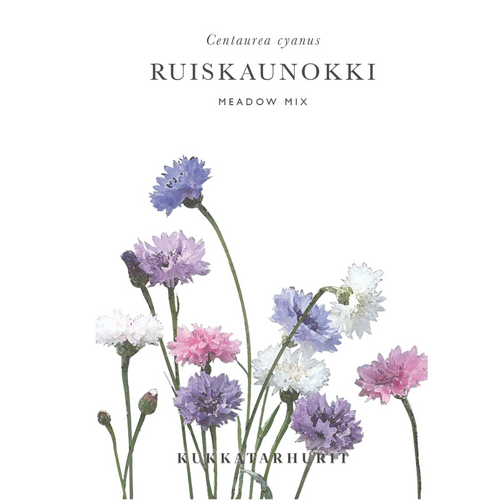 Ruiskaunokki Meadow Mix Ruiskaunokki Meadow Mix