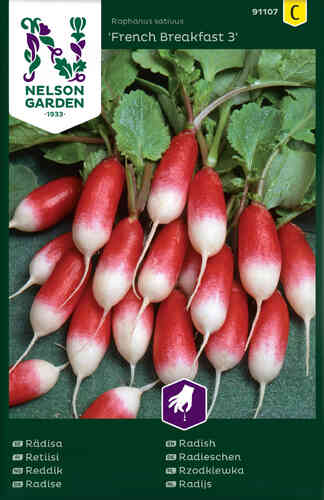 Rädisa 'French Breakfast 3' Rädisa 'French Breakfast 3'