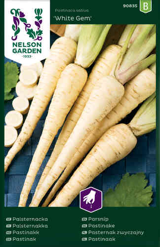 Palsternacka 'White Gem' Palsternacka 'White Gem'