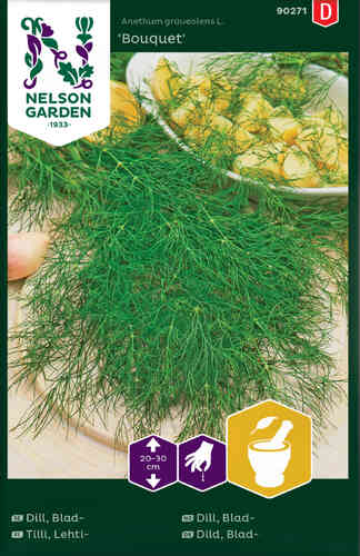 Dill 'Bouquet' Dill 'Bouquet'