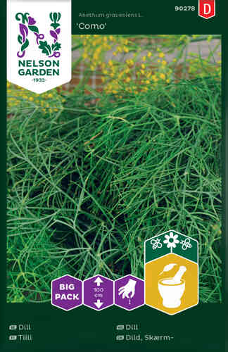 Dill 'Como' Big Pack Dill 'Como' Big Pack