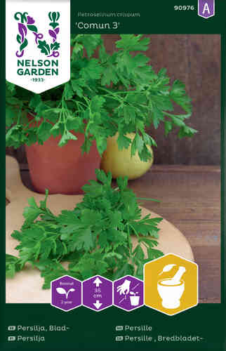 Persilja, slätbladig 'Comun 3' Persilja, slätbladig 'Comun 3'