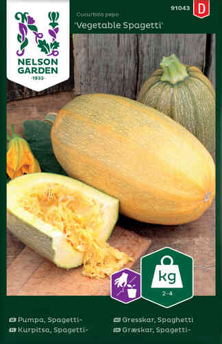 Spaghettipumpa 'Vegetable Spagetti' Spaghettipumpa 'Vegetable Spagetti'
